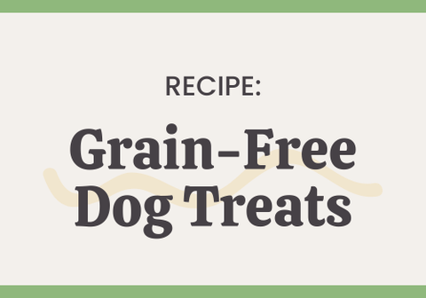 Grain-Free Dog Treat Recipe - The Honey Jar
