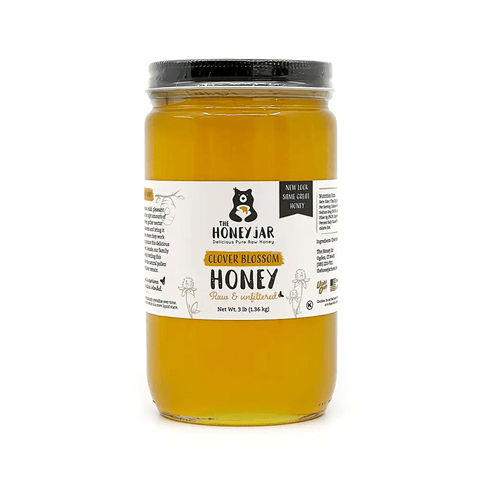 Jar of clover honey on white background