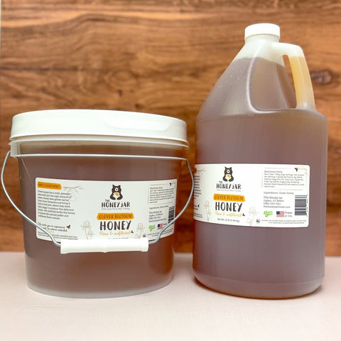 Gallon Pail of Honey (12lbs) next to a gallon jug of honey