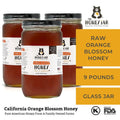 Jars of raw orange blossom honey with The Honey Jar branding on a white background.