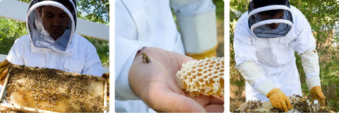 Three images showing man in beekeeping suit interacting with bees and beehive