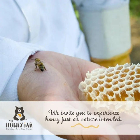 Person holding honeycomb with a bee on their hand, promoting The Honey Jar brand.