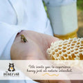 Person holding honeycomb with a bee on their hand, promoting The Honey Jar brand.