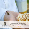 Person holding honeycomb with a bee on their arm, promoting The Honey Jar brand.