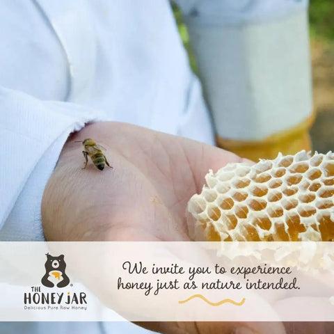 Person holding honeycomb with a bee on their arm, promoting The Honey Jar brand.